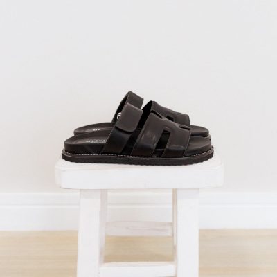 Birken Preta Aurora